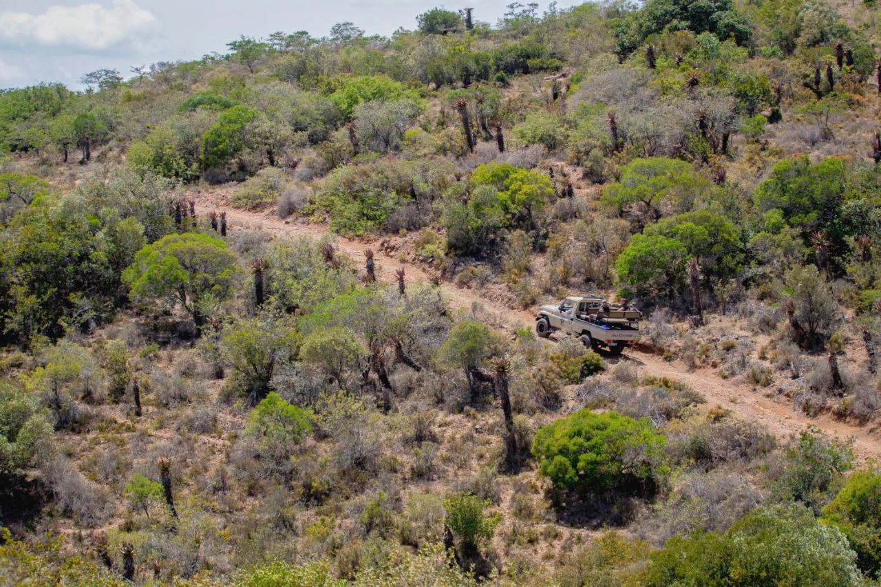 African Safari Lodge Grahamstown Zewnętrze zdjęcie
